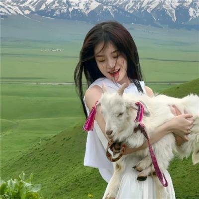 金粉世界